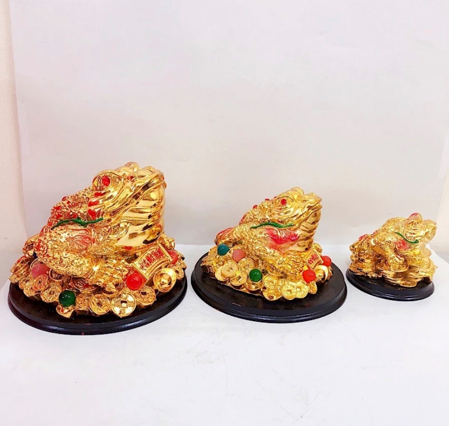 Fengshui Money Frog Lucky Money Toad with Coin To Attract Wealth and Good Fortune