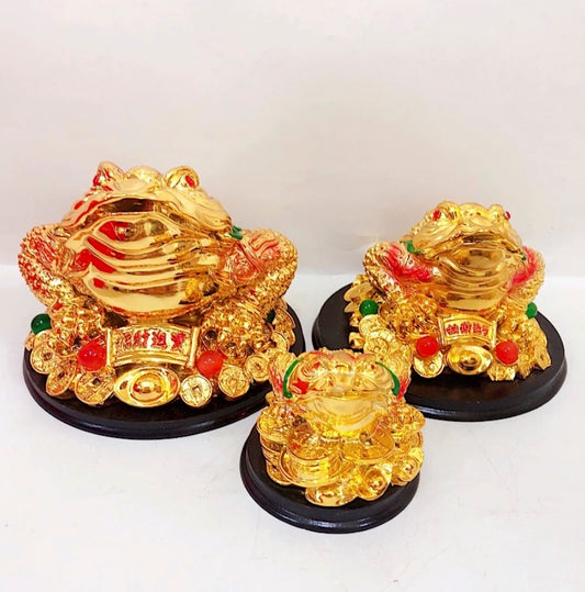 Fengshui Money Frog Lucky Money Toad with Coin To Attract Wealth and Good Fortune