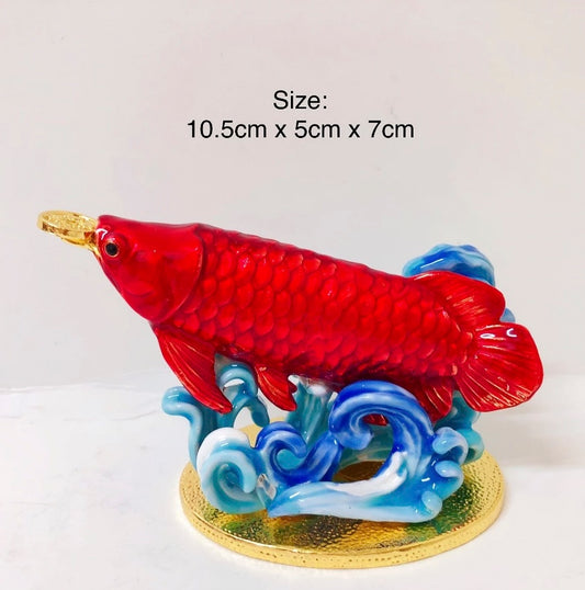 Fengshui Red Arowana for Great Wealth and Prosperity